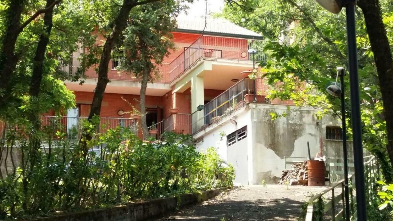 B&B Le Tre Rose Di Maria Pedara Buitenkant foto